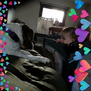 Meet your Posher, Heather